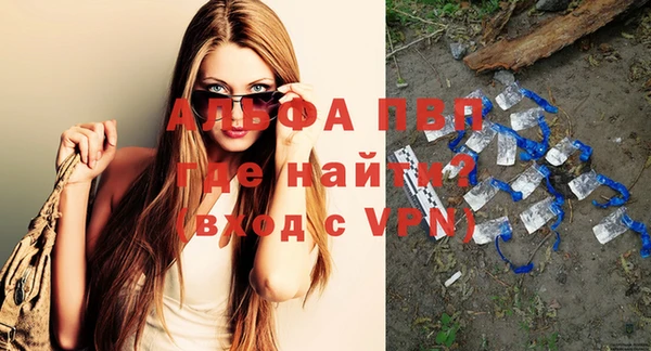 крисы Вязьма