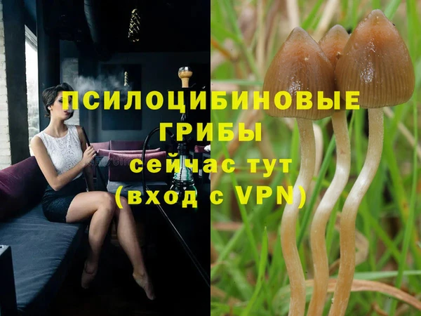 крисы Вязьма