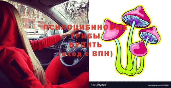 крисы Вязьма